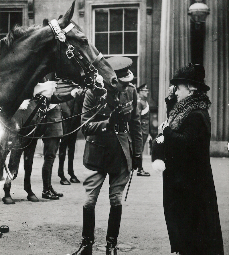 Koningin Wilhelmina biedt paarden aan